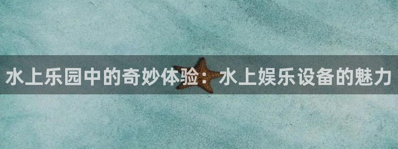 必发集团网址：水上乐园中的奇妙体验：水上娱乐设备的魅力