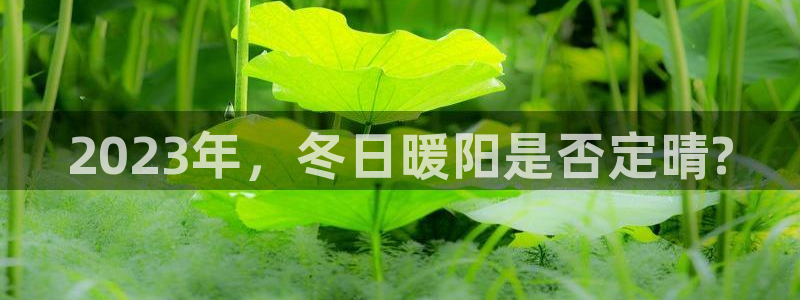 7790必发集团app客服：2023年，冬日暖阳是否定晴?