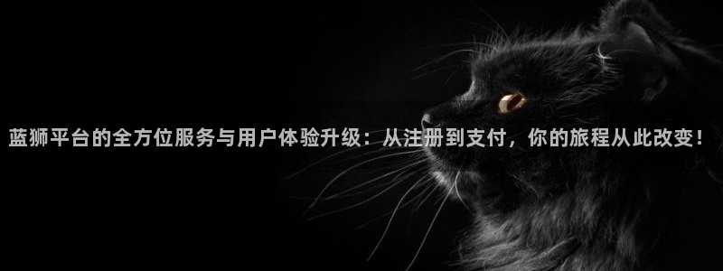 6690必发集团下载：蓝狮平台的全方位服务与用户体验升级：从注册到支付，你的旅程从此改变！
