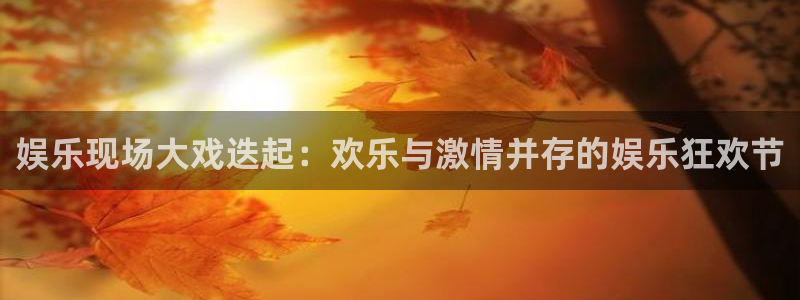 6690必发集团app：娱乐现场大戏迭起：欢乐与激情并存的娱乐狂欢节