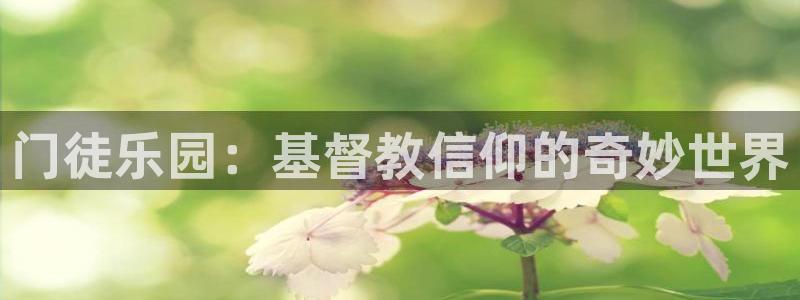 必发集团官网登录：门徒乐园：基督教信仰的奇妙世界