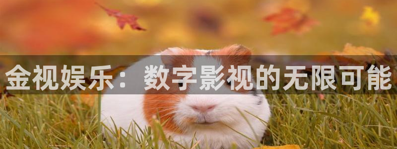 必发集团下载：金视娱乐：数字影视的无限可能