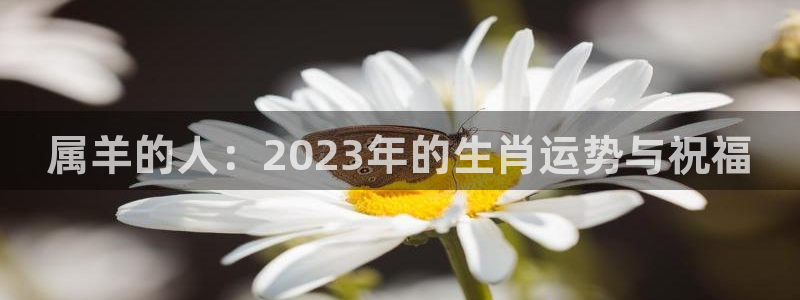 7790必发集团官网入口