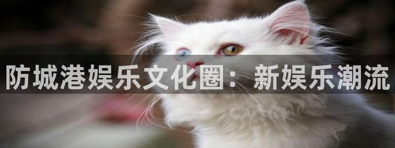 必发集团下载：防城港娱乐文化圈：新娱乐潮流
