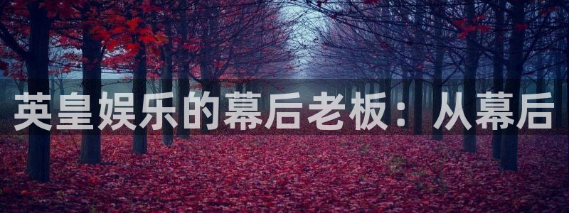 6690必发集团app：英皇娱乐的幕后老板：从幕后