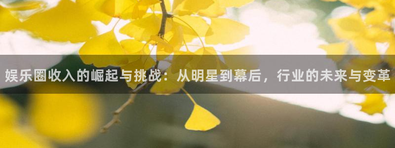 必发集团app7790下载安装：娱乐圈收入的崛起与挑战：从明星到幕后，行业的未来与变革