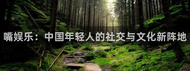 必发集团下载：嘴娱乐：中国年轻人的社交与文化新阵地