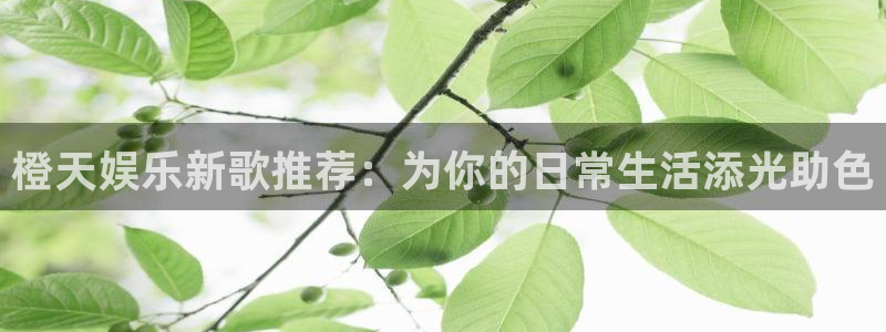 7790必发集团：橙天娱乐新歌推荐：为你的日常生活添光助色