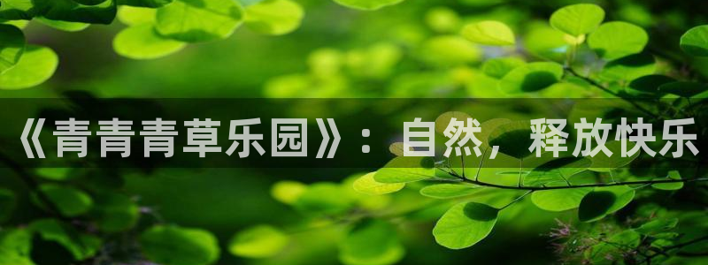 必发7790电子集团,必发集团欢迎光临