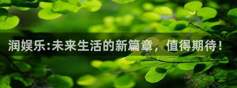 必发集团app下载