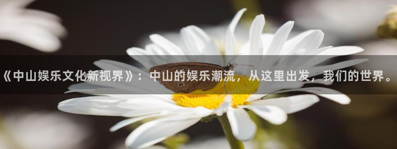 必发集团app下载：《中山娱乐文化新视界》：中山的娱乐潮流，从这里出发，我们的世界。