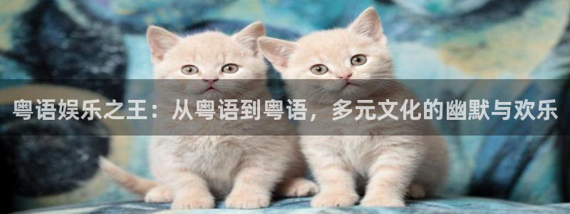 7790必发集团下载：粤语娱乐之王：从粤语到粤语，多元文化的幽默与欢乐