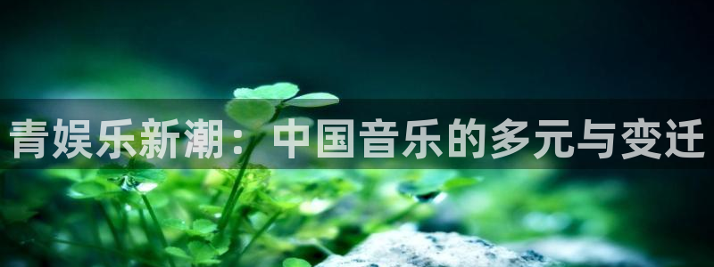 7790cnm必发集团登录：青娱乐新潮：中国音乐的多元与变迁