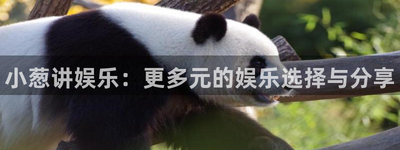 7790cnm必发集团app下载：小葱讲娱乐：更多元的娱乐选择与分享