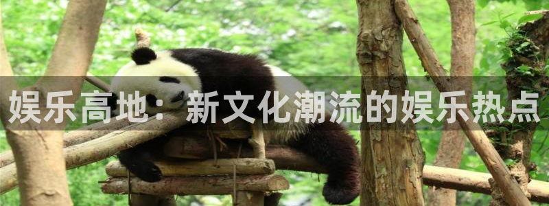 7790必发集团app下载安装：娱乐高地：新文化潮流的娱乐热点