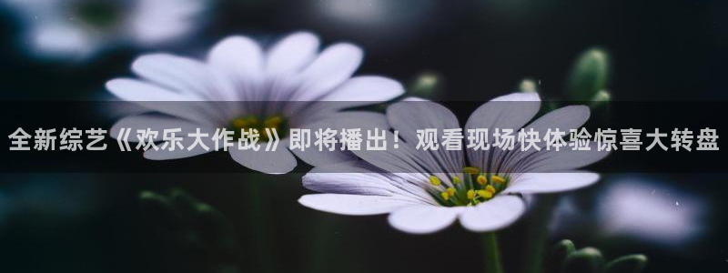 7790必发集团：全新综艺《欢乐大作战》即将播出！观看现场快体验惊喜大转盘