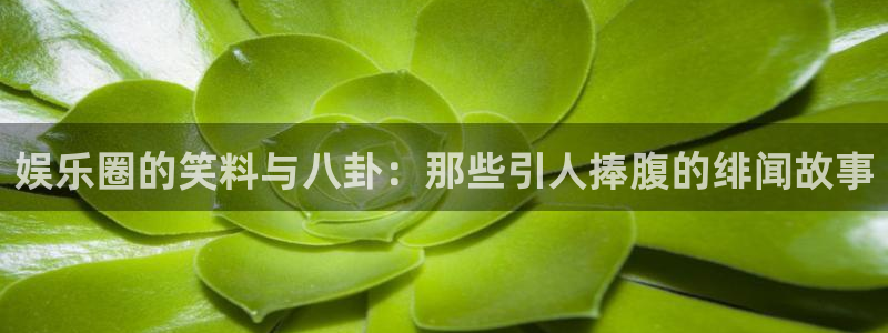 7790cnm必发集团登录：娱乐圈的笑料与八卦：那些引人捧腹的绯闻故事